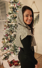 Load image into Gallery viewer, Hoodwinked